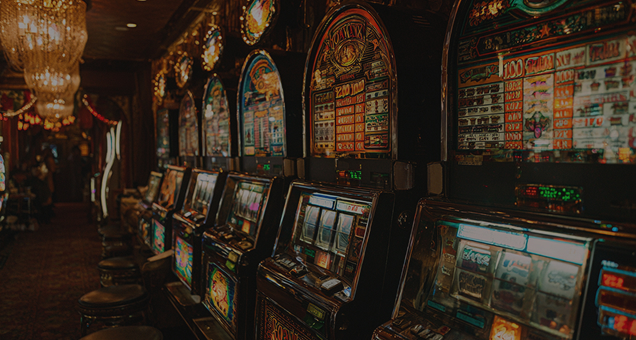 5 Gringos Casino